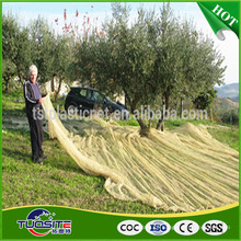 agricultura oliva colheita redes para coleta de frutas